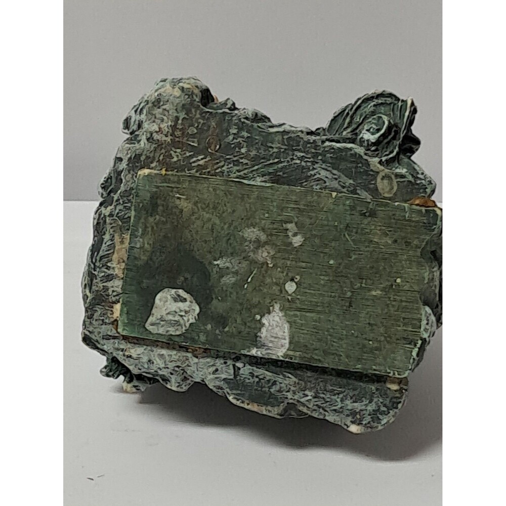 Turtle - Picture 5 of 5